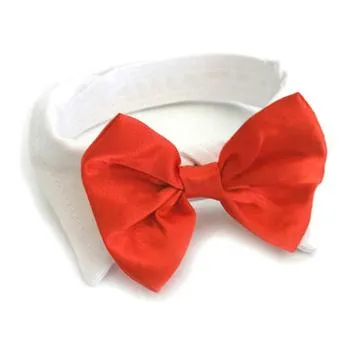 Red Satin Dog Bowtie Collar